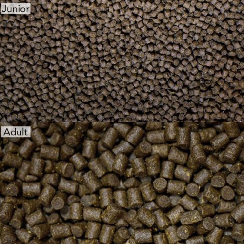 NT Labs Pro-F Axolotl Pellets - Image 2