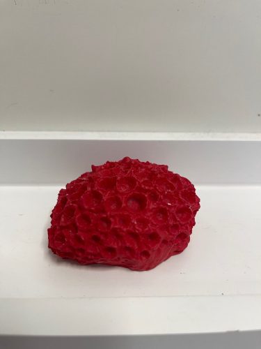 Mini Red Sun Coral Ornament