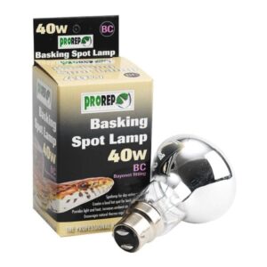 Basking Spot Lamp Bayonet Fitting