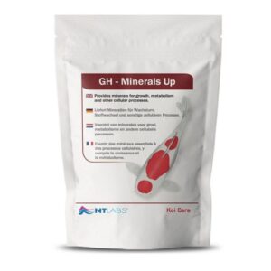 NT Labs GH Mineral Up