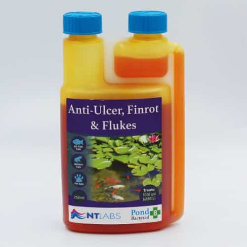NT Labs Bacterad Anti-Ulcer, Finrot and Flukes Treatment