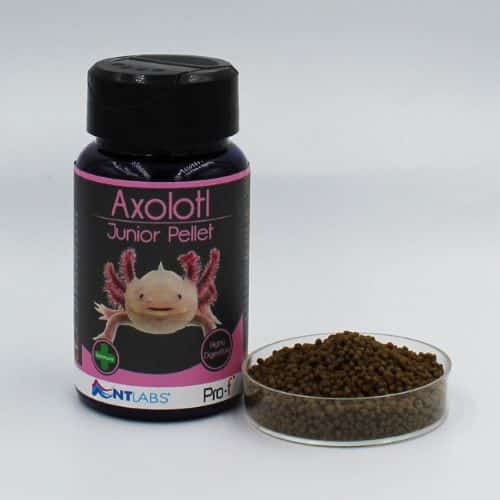 NT Labs Pro-F Axolotl Pellets