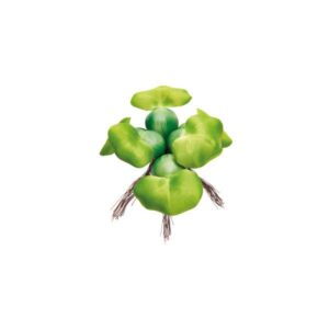 Pontec PondoHyacinth Decoration