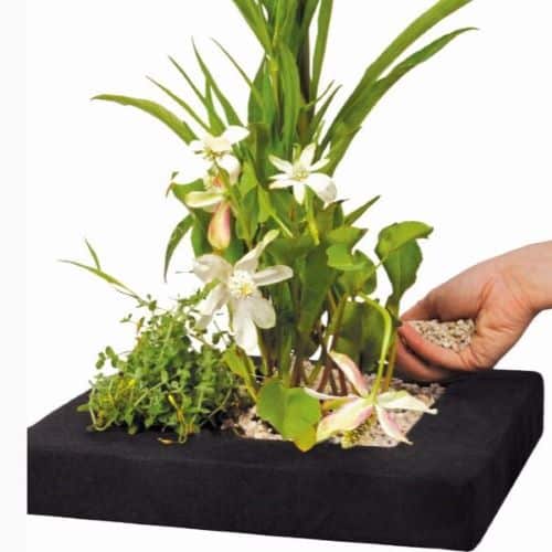 Plant Island 25cm Square