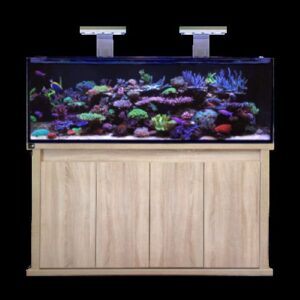 D-D Reef-Pro 1500S Aquarium