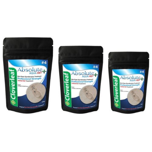 Skin Flukes Treatment