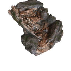 Bermuda Watercourses - Stream