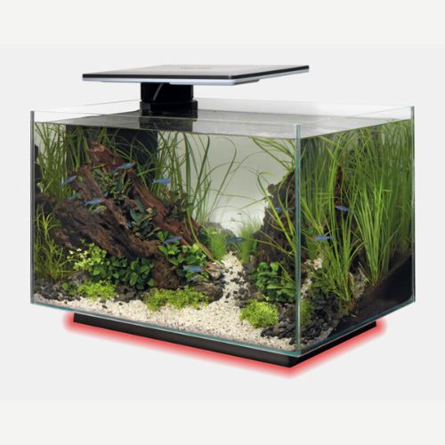 Superfish Quadro 40 Multi Colour Aquarium