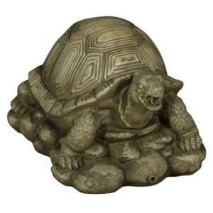 Turtle Water Spitter Feature