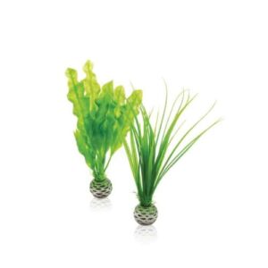 biOrb Easy Plant Green