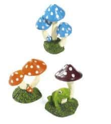 Assorted Mushroom 7cm