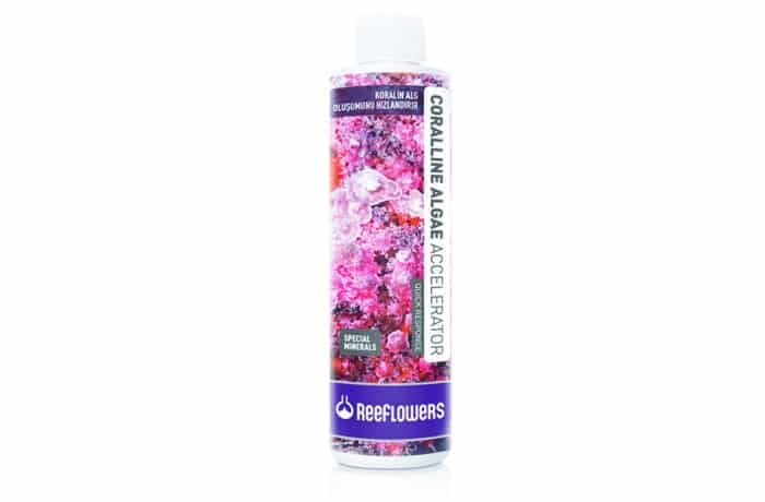 ReeFlowers Coralline Algae Accelerator