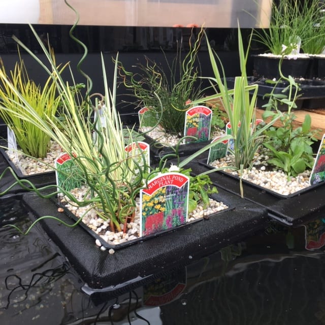 18cm Floating Basket With Marginals