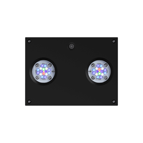 AI Hydra 32HD LED Light - Image 5