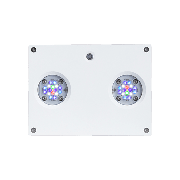 AI Hydra 32HD LED Light - Image 3