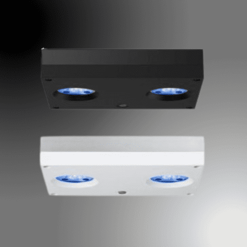 AI Hydra 32HD LED Light