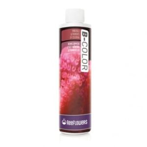 ReeFlowers B-Colour