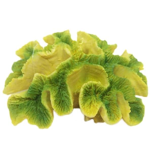 Yellow/Green Ridge Coral