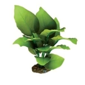 Green Spatterphyllum Aquarium Silk Plant