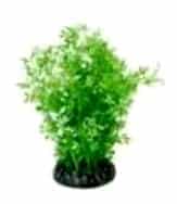 30cm Green & White Wisteria Artificial Plant