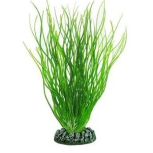 Green Plastic Plant