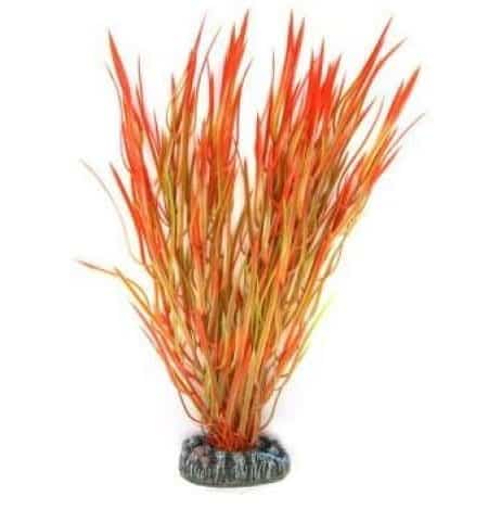 Red & Green Plastic Plant