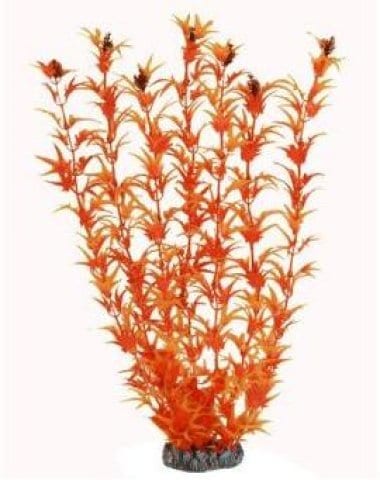 Orange Plastic Plant