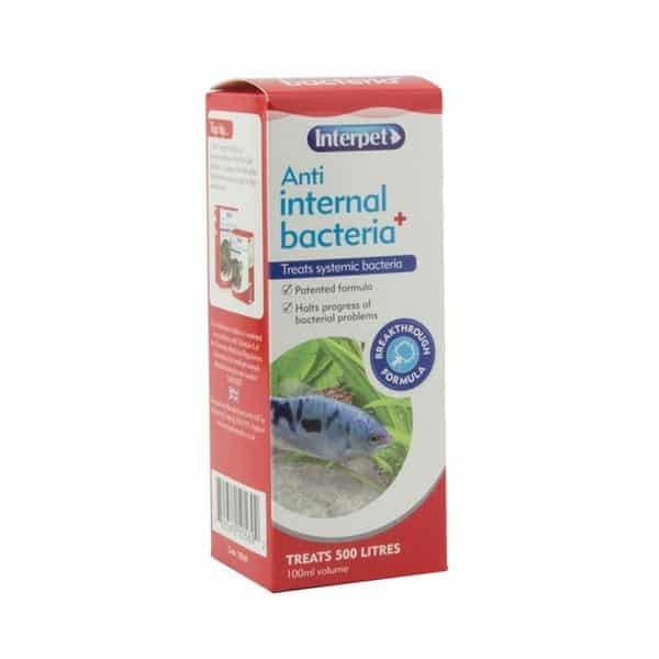 Interpet Anti Internal Bacteria Treatment