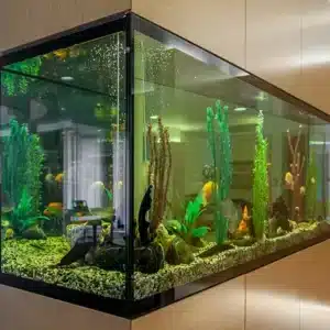large-built-aquarium-with-fish-plants-stylish-living-room