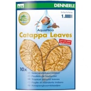 Catappa Leaves - Large