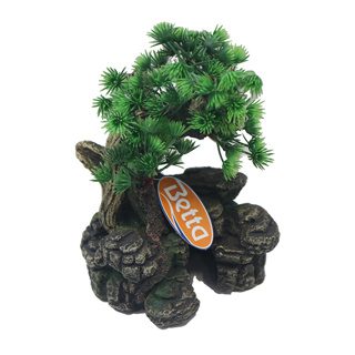 Medium Bonsai With Plant