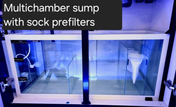 Reefscape Maxi 215L Rimless Glass Aquarium With Sump & Cabinet - Image 4