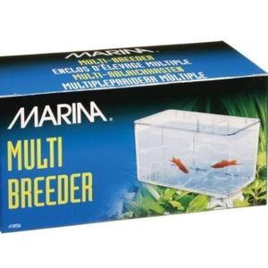 5 Way Breeding Trap