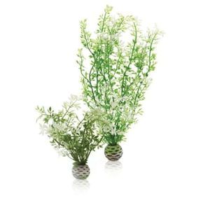 BiOrb Easy Plant Winter Flower Twin Pack
