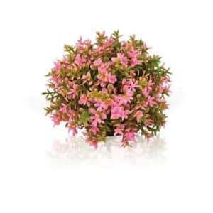 BiOrb Topiary Ball Decoration Pink
