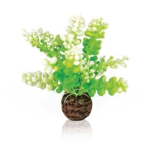Biorb Green Caulerpa Artificial Plant