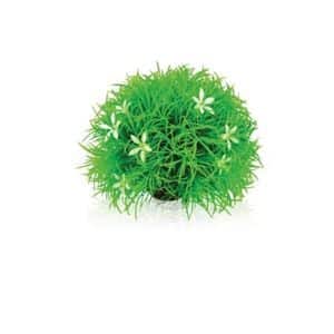 Biorb Topiary Ball Decoration With Daisies