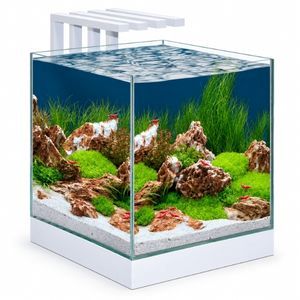 Ciano Nexus Pure 25 Litre Cube Aquarium