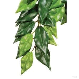 Exo Terra Ficus Silk Plant Large