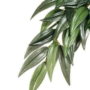 Exo Terra Ruscus Silk Plant Medium