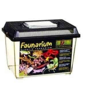 Exo Terra Standard Faunarium Small