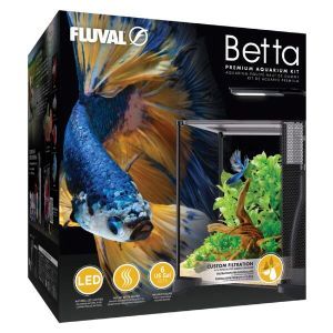 Fluval 20 Litre Betta Aquarium Kit