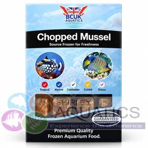 Frozen Chopped Mussel Blister 100g