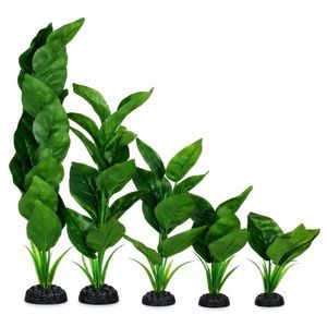 Hugo Kamishi Anubias Green Silk Aquarium Plant