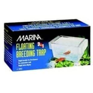 Marina 3 in 1 Breeding Trap