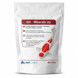 NT Labs GH Mineral Up