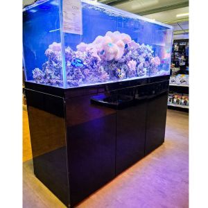 Reefscape Midi 165 Rimless Glass Aquarium (1)