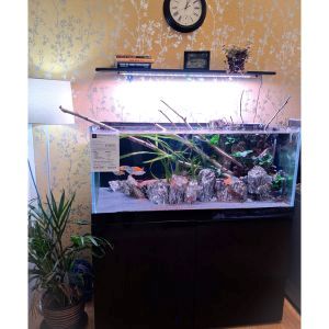 Reefscape Midi 165 Rimless Glass Aquarium