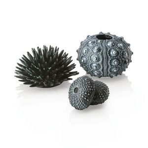 Sea Urchins Black x 3 Aquarium Decoration
