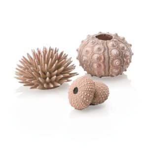 Sea Urchins Natural x 3 Aquarium Decoration